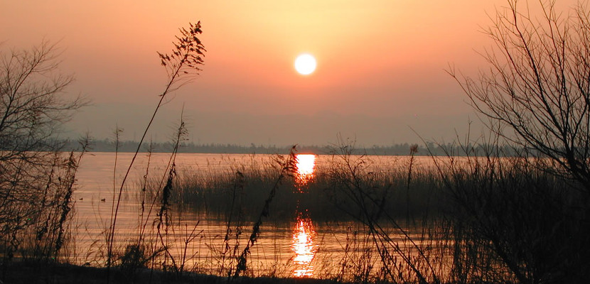 biwa paisaje